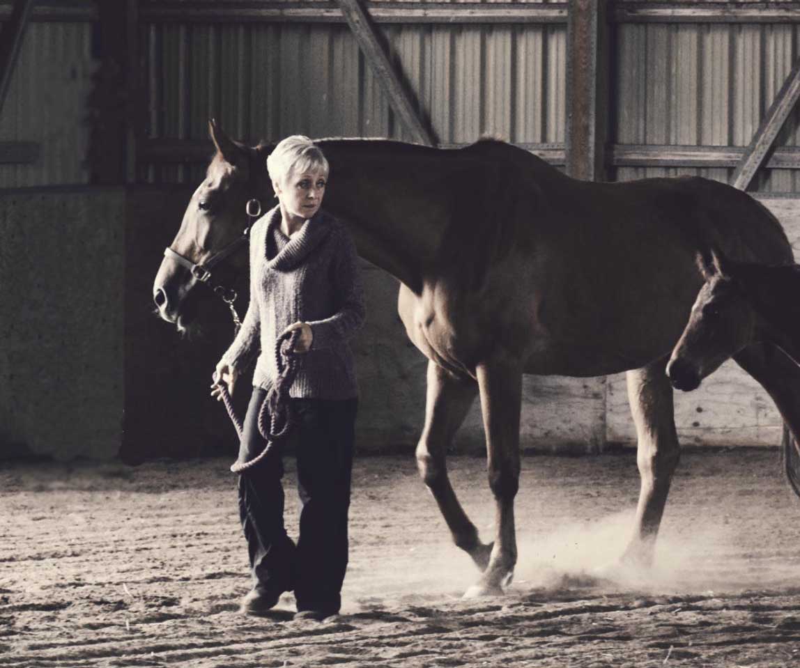 alanna frewin, greg frewin, magic show, illusions, horse, niagara falls, magic show, alex kazam, masters of magic, grand illusion